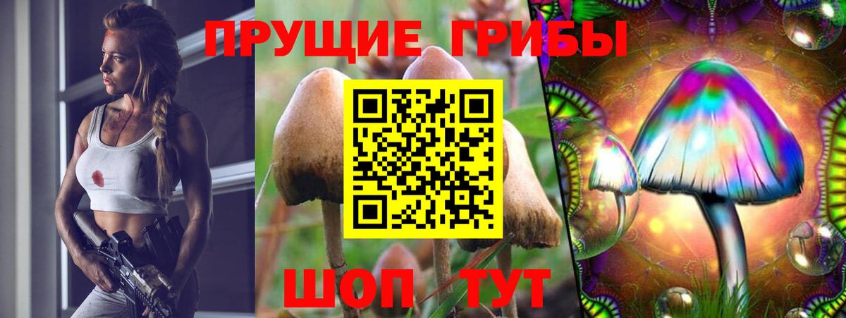 как найти наркотики  Псилоцибиновые грибы Psilocybe  Псилоцибиновые грибы MAGIC MUSHROOMS  Вход с VPN  Благовещенск 